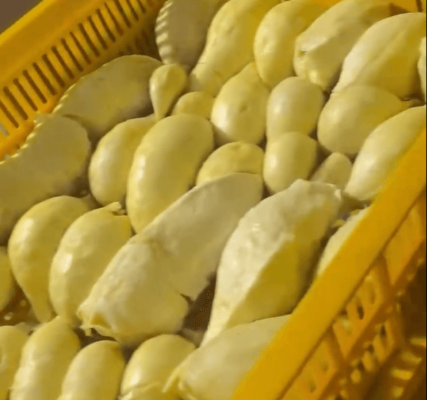 Cung cấp sầu riêng cấp đông